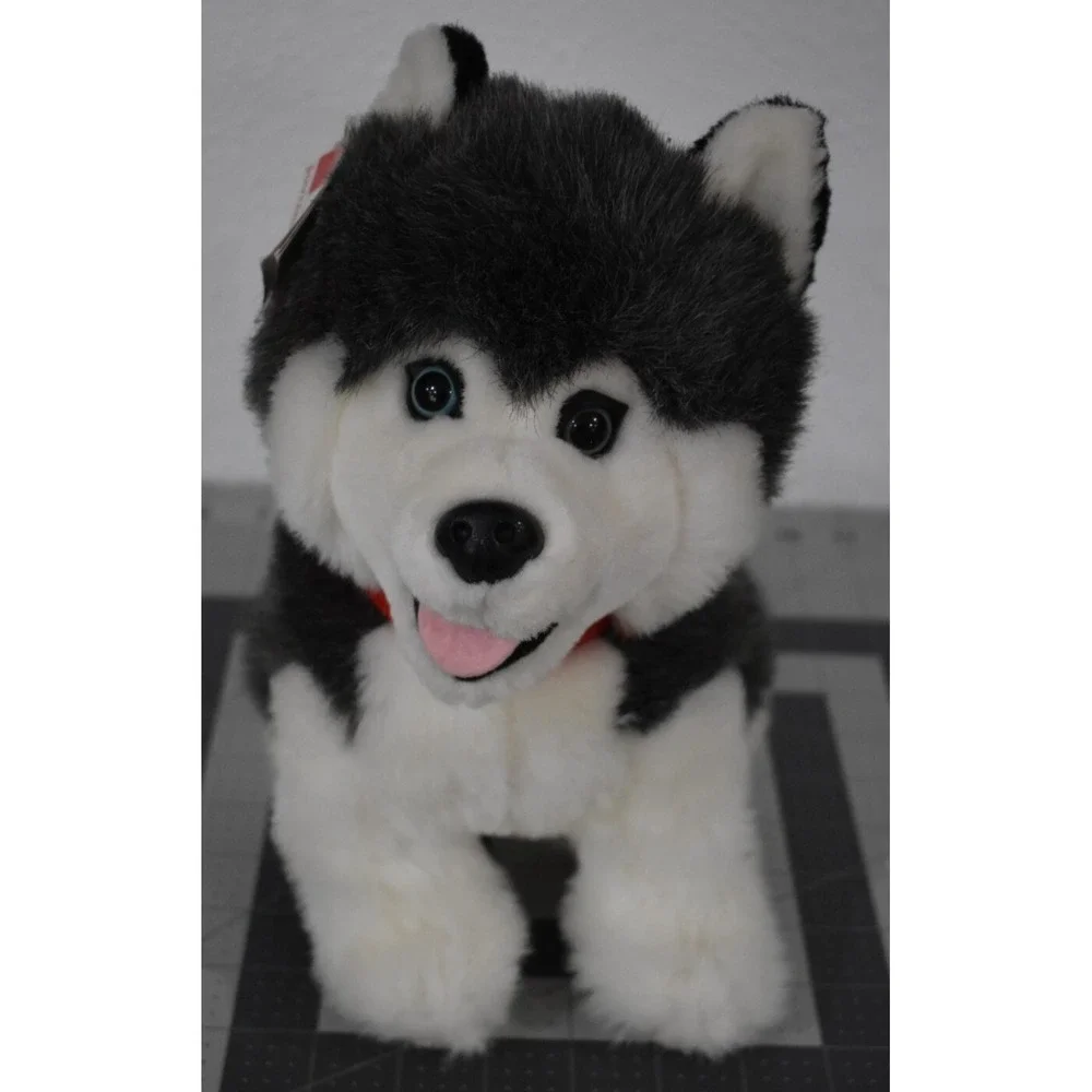 Husky Dog Canada Plush Stuffed Souvenir Tag‎ Sitting Animal House 10.5 Blue eyes